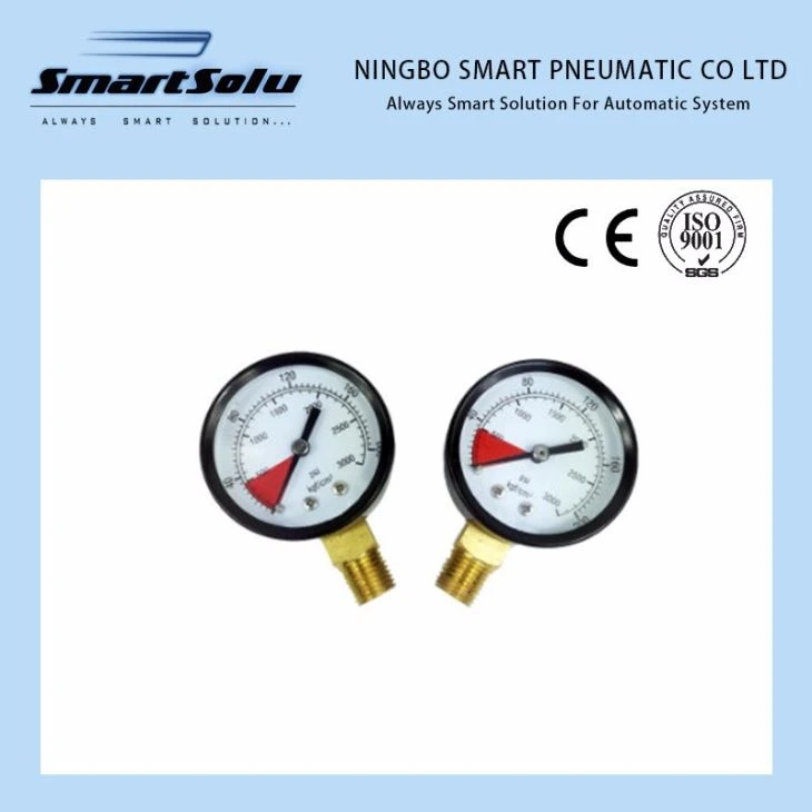 Y60A 200kg 2.5 Inch Brass Bottom Mounting Pressure Gauge And Black Iron Housing